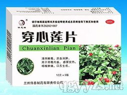 穿心莲片 传统中药与现代中成药的结合典范