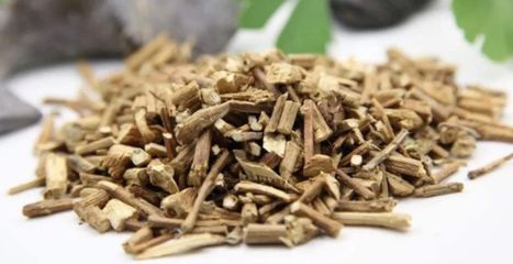 中药饮片探微 化湿良药霍香的身世之谜