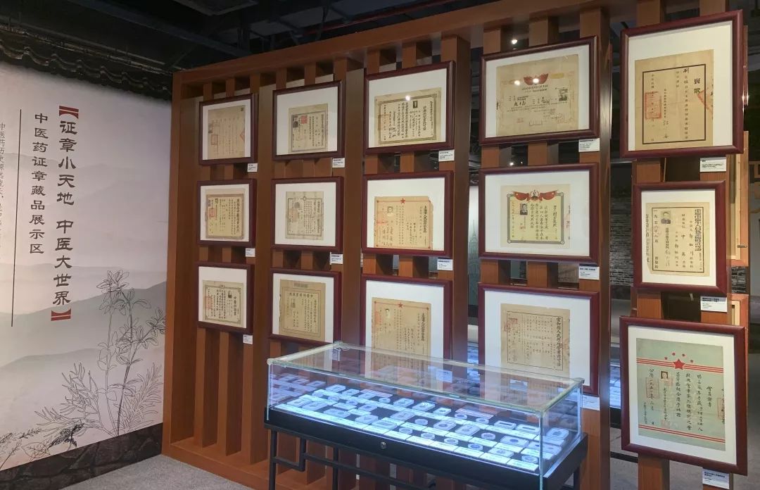 黄浦区中医药文化主题展在大世界开幕，中药饮片展现传统医学魅力